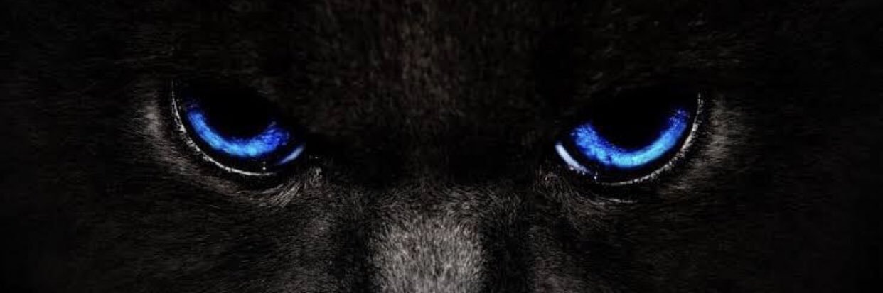 MRATIN_7777's profile banner image