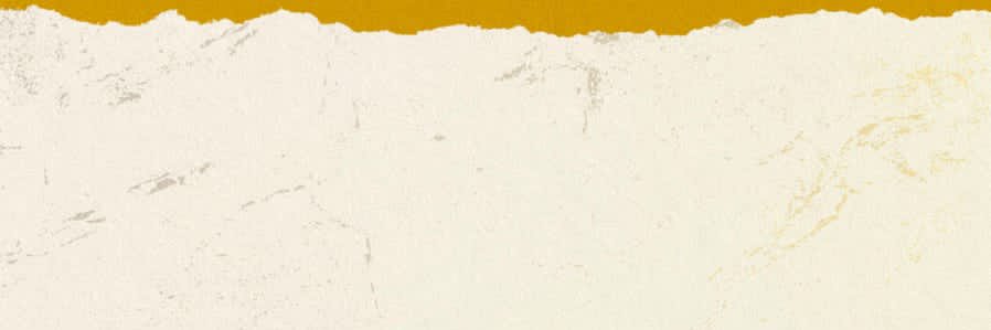 FR Bulls #GoFRBulls💛🖤 banner