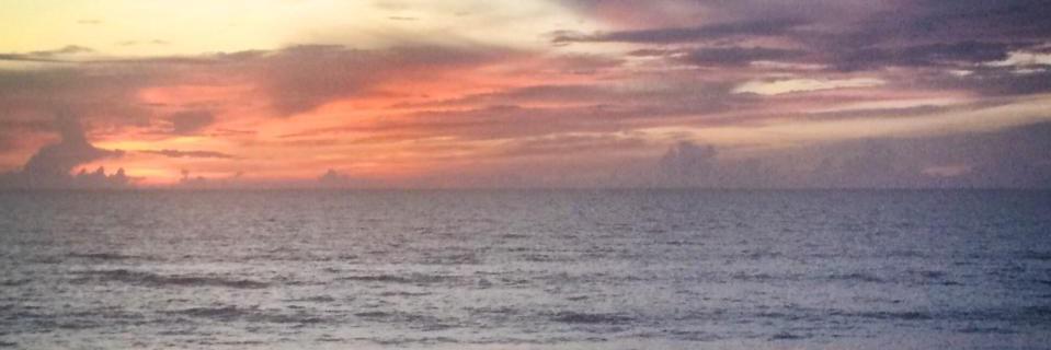 MWOwner's profile banner image