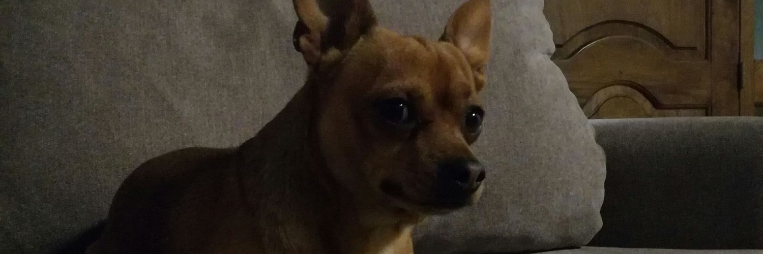 Daianazcurra's profile banner image