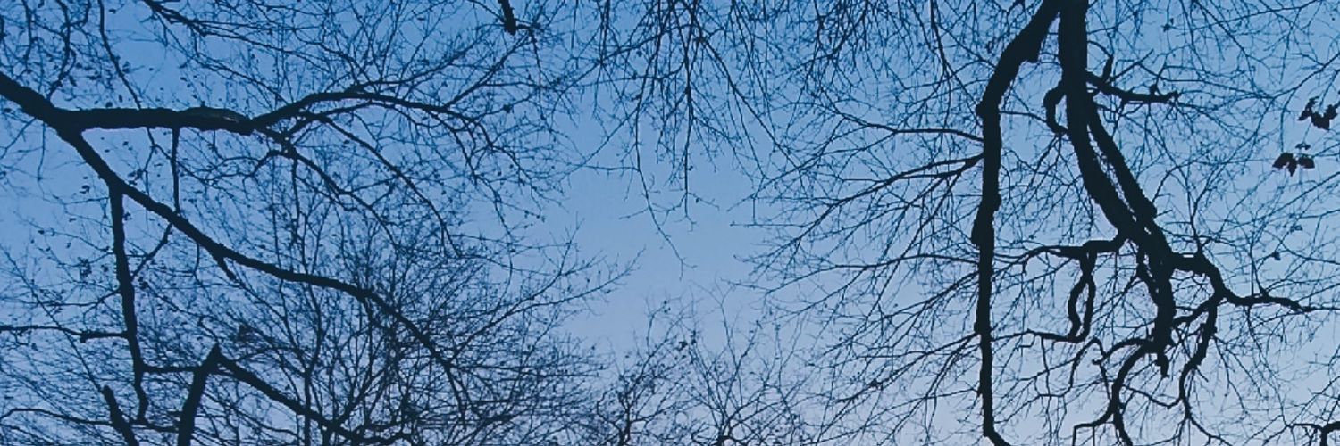 chimigikhob's profile banner image
