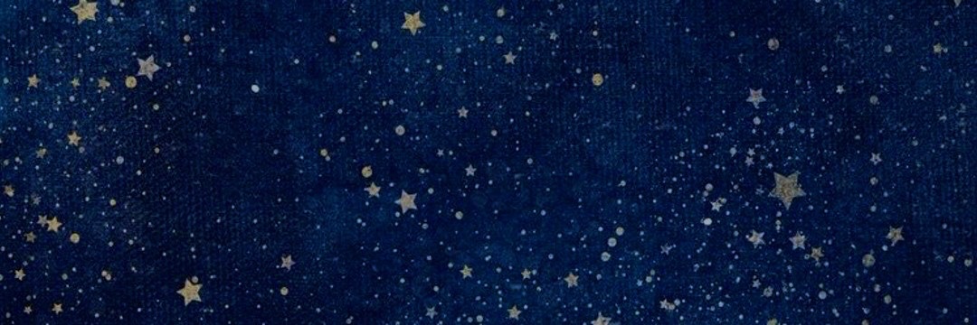 kendall ✶ ⋆˙⟡ | will byers’ crime accomplice banner