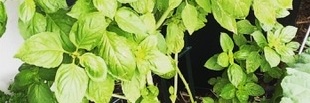 bvec97's profile banner image