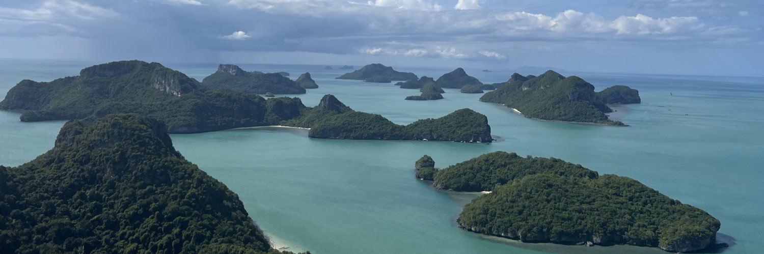 Andrea Tedeschi, MD banner