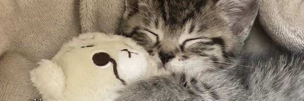 1_1_1_2222 Profile Banner