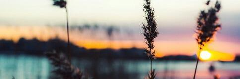 introvert_21's profile banner image