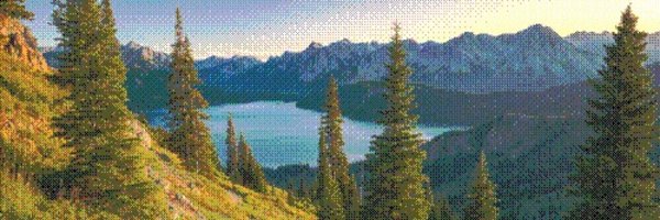 web__zeb Profile Banner
