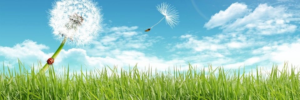 foundationflux's profile banner image