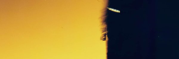 diarmuid_oshea_ Profile Banner