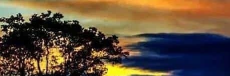 MerceOlivares's profile banner image