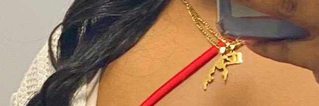 ssanthu_'s profile banner image