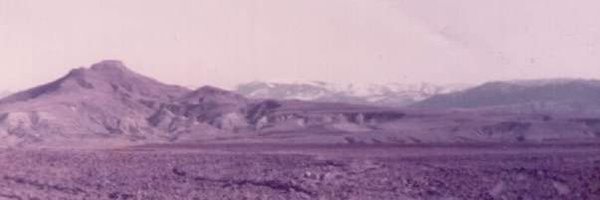 houhou Profile Banner