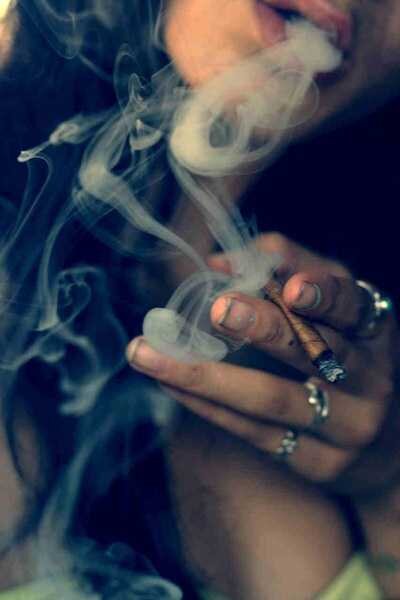 Marcelle Meyer banner