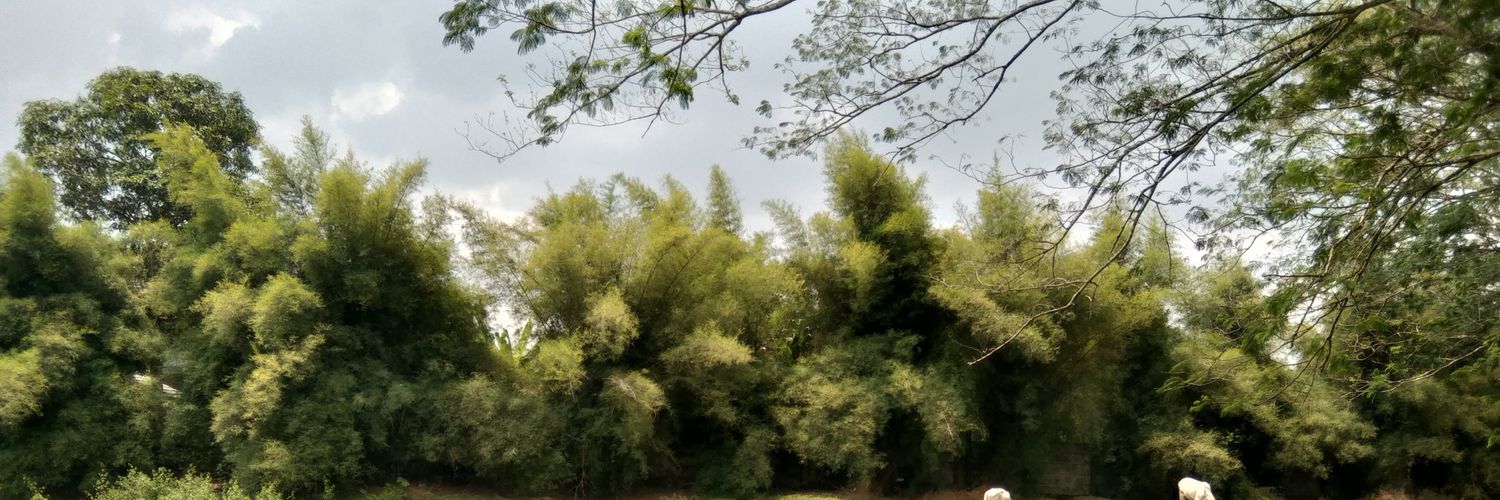 Verawatismail1's profile banner image