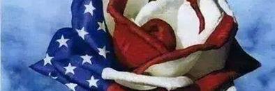 Mistyque_'s profile banner image