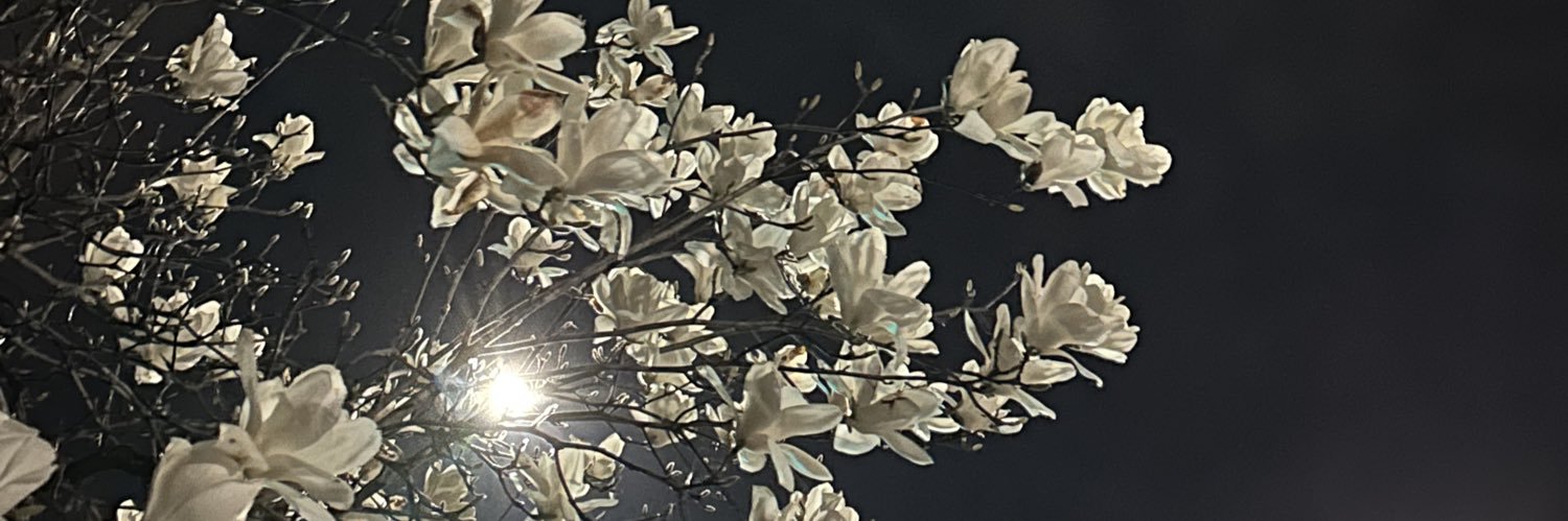 Lone_wolf_only's profile banner image