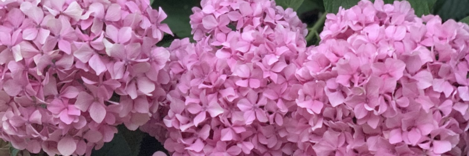 CGoldsteinWrite's profile banner image