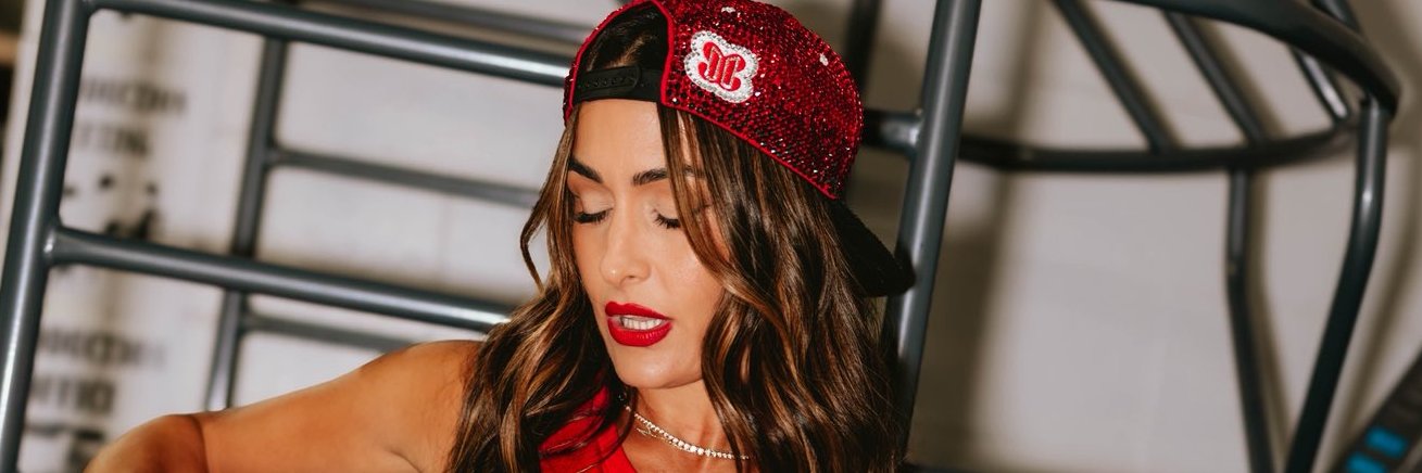 Nikki Bella (Parody) banner