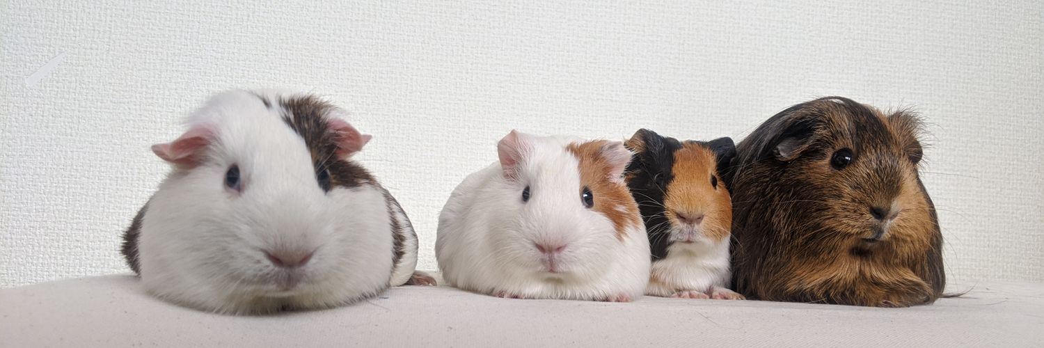 気まぐれちゃ banner