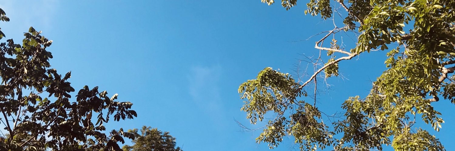 cfelipefalcao's profile banner image