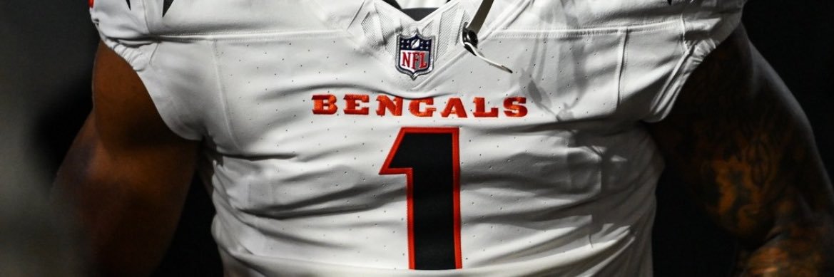 Bengals Propaganda banner