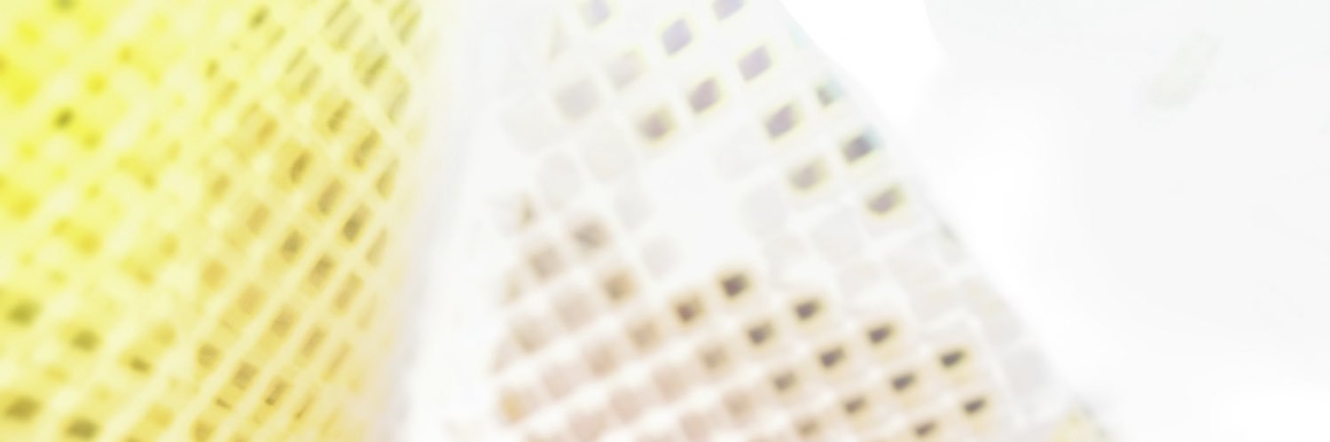 chiico_chiico's profile banner image