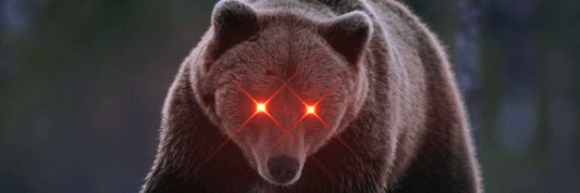 Scalper Chirurgical banner