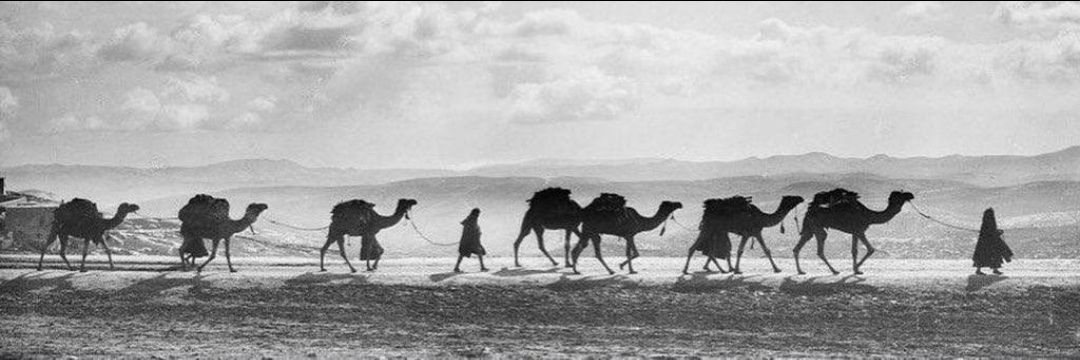 عبدالرحمن banner