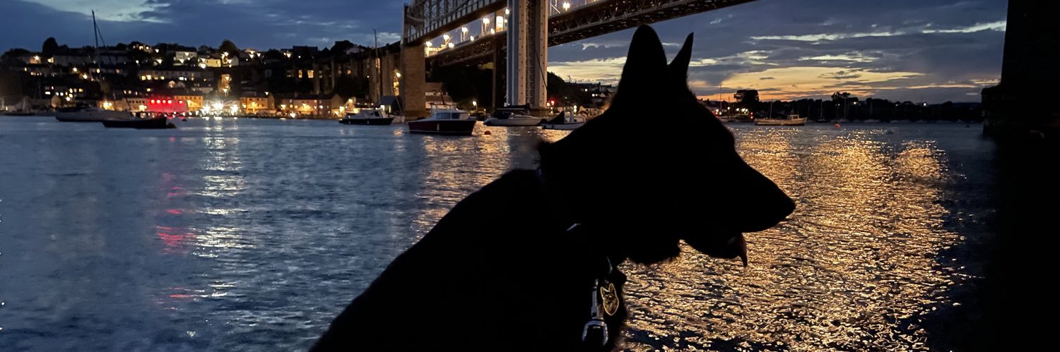 RPD Dixie's banner