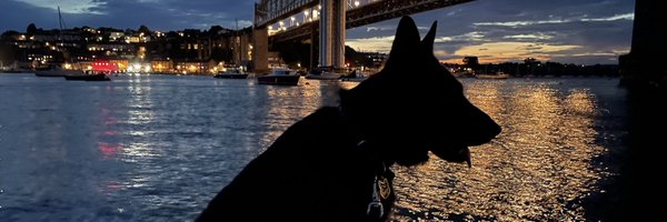 RpdDixie Profile Banner