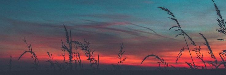 ArlenGpe's profile banner image