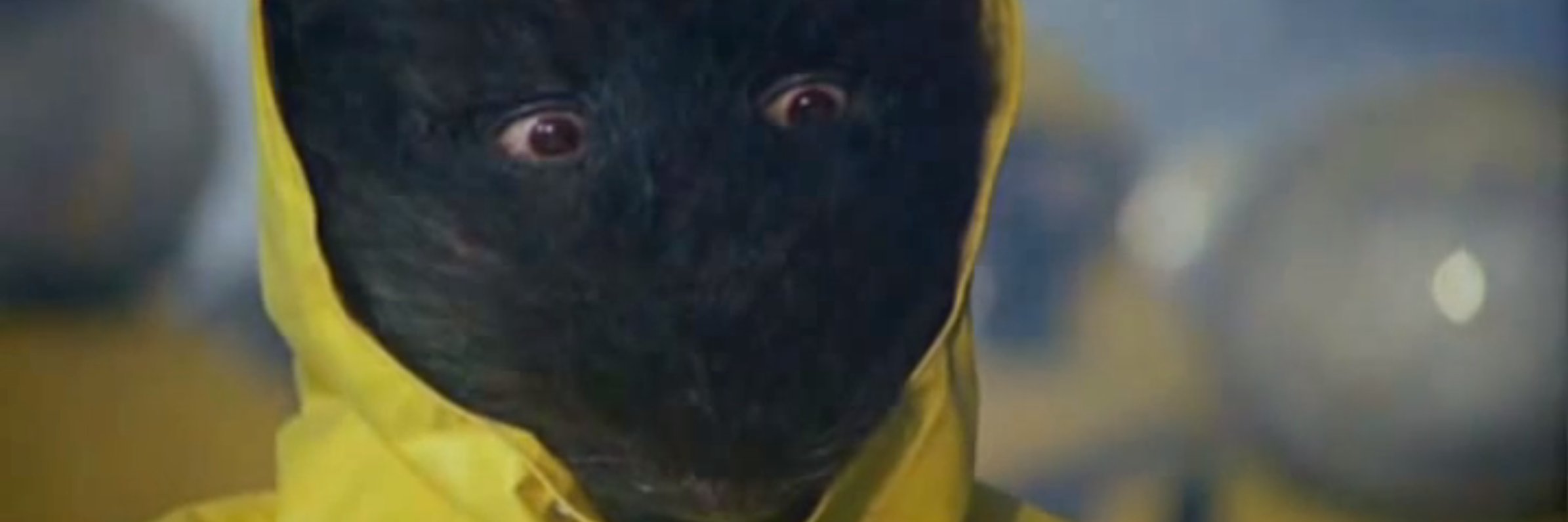 HorrorYearbook's profile banner image