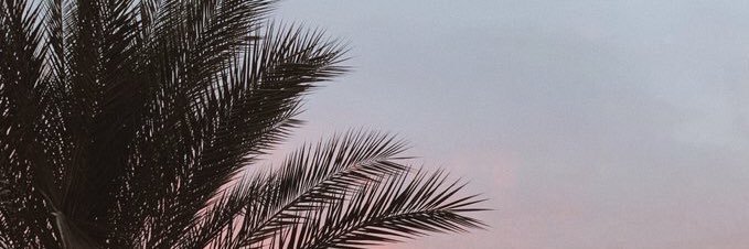 Yamilethbn's profile banner image