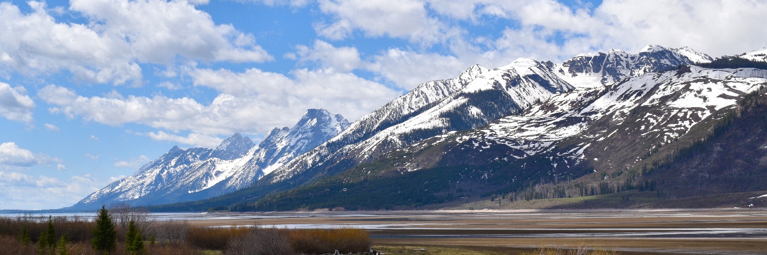 Alexander Richey banner