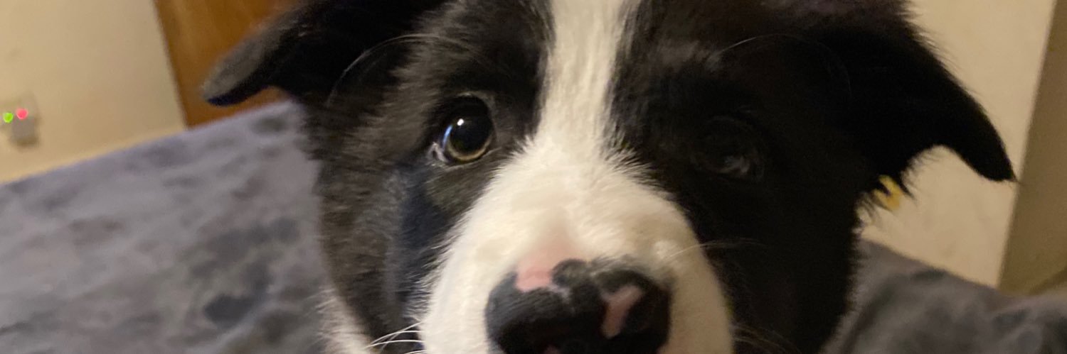 knwc's profile banner image
