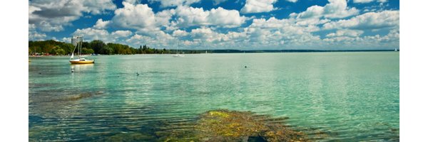 BalatonScience Profile Banner