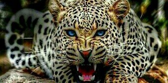 MaariimaarMar's profile banner image