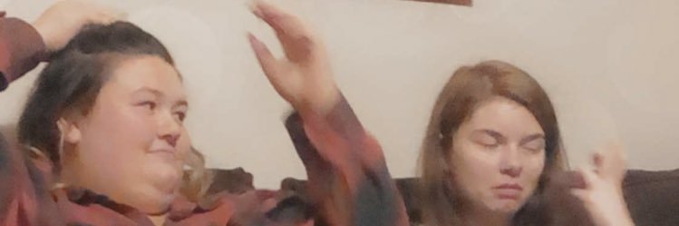 turtle_seth's profile banner image