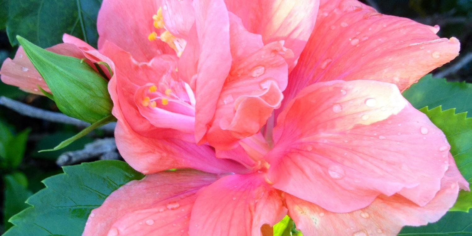 heatheron30a's profile banner image