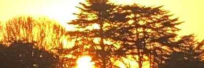 Timparr6's profile banner image
