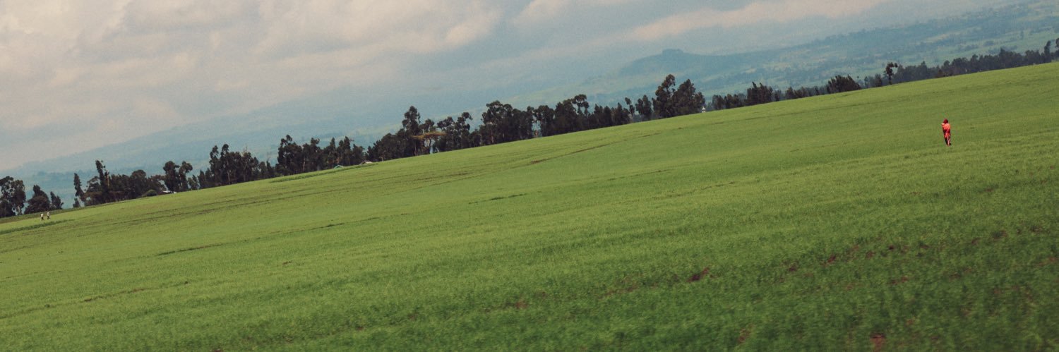 emmujc's profile banner image