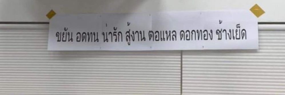 millEyxu's profile banner image