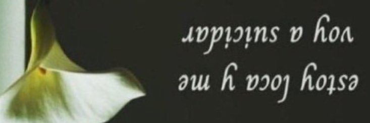 ı̣ןɐ banner