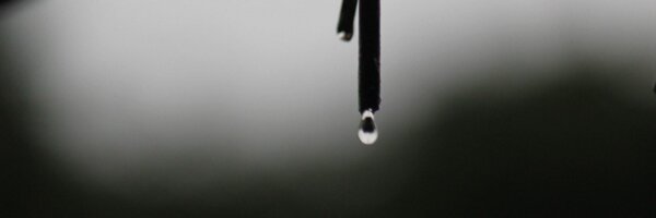 paramjshah Profile Banner