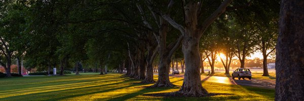 PNNLab Profile Banner