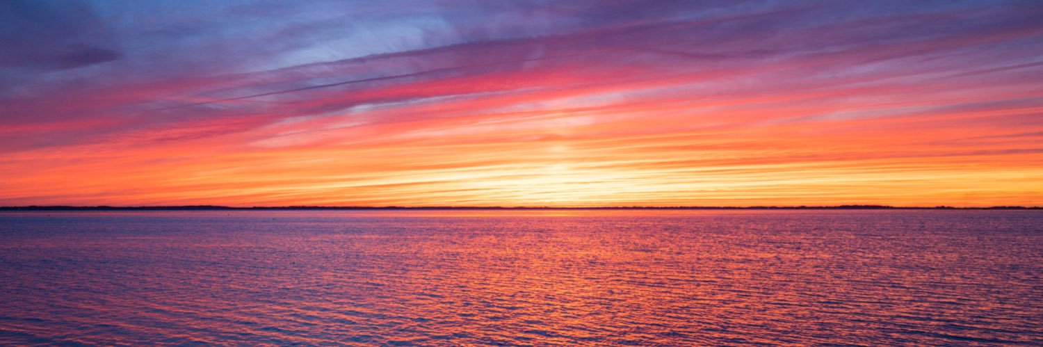 Danielle Brigida (starfocus on Bsky) banner