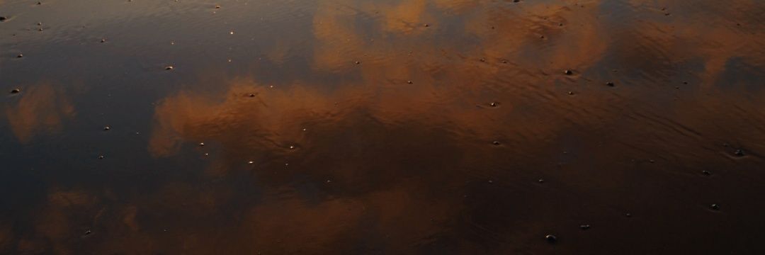 xnathema's profile banner image