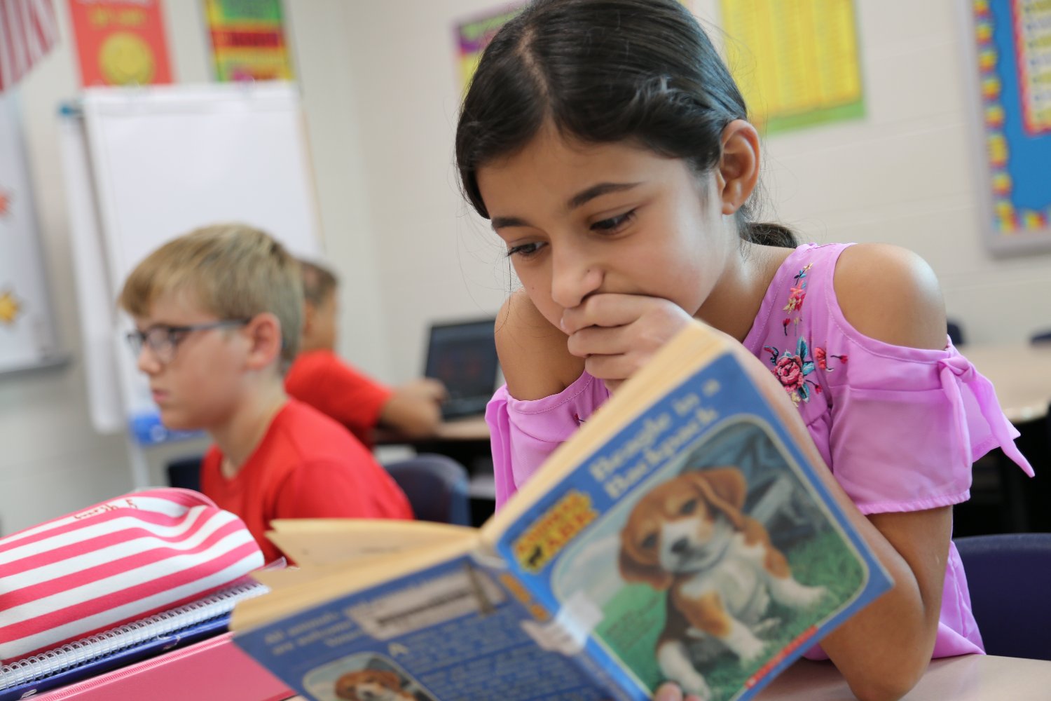 Springboro Curriculum banner