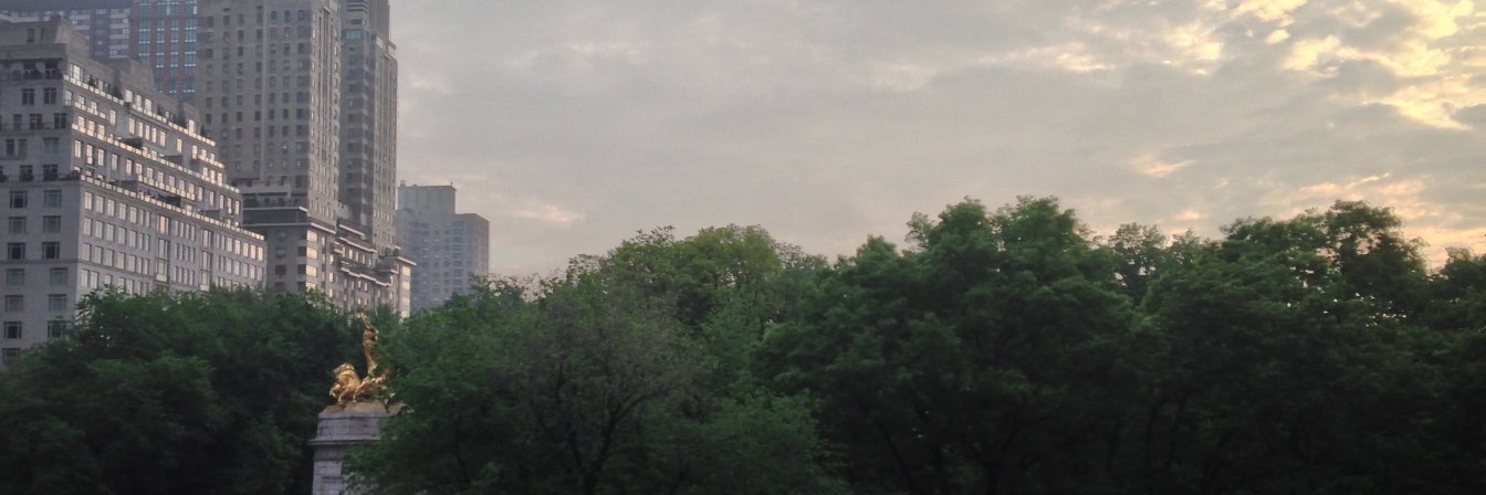 William Gargan banner