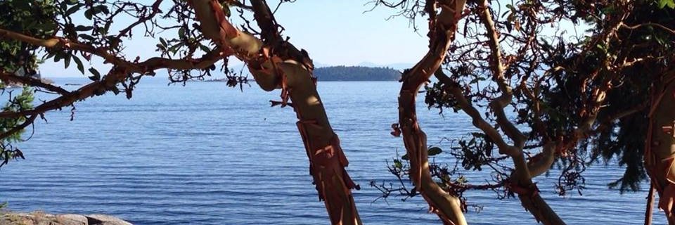 l_vogan's profile banner image